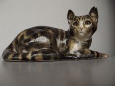 Winstanley cat, ear a/f