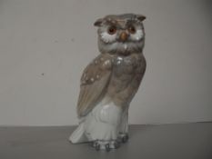 Nao owl