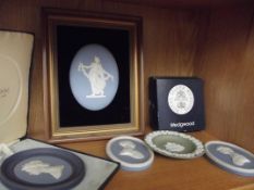 Collection of Wedgwood jasperware