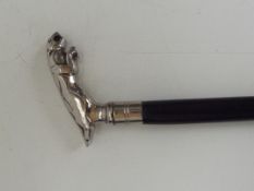Jaguar walking stick