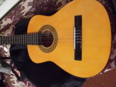 Acoustic guitar and case