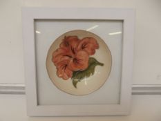 Framed Moorcroft dish, hibiskus