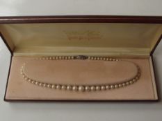 Simulated pearl necklace
