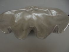 Large ornamental clam shell