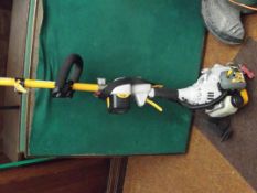 Petrol strimmer
