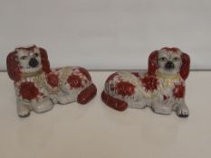 Old Staffordshire pair of brown and white dogs