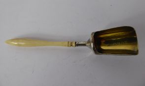 A Georgian Silver Sugar Caddy Spoon, with bone handle, Birmingham hallmark, mm WP.