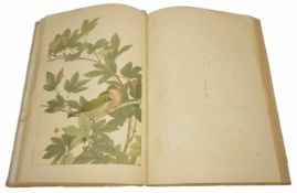 A large Japanese silk bound book containing bird illustrations finely coloured with illustration