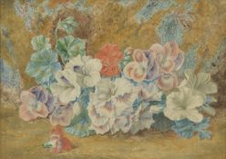 Thomas F Collier, (British 1840 - 1891) watercolour of 'Pelargoniums' in a gilt frame, signed