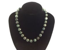 A large grey South Sea pearl choker necklace the Pearls of mainly dark grey hue and lustre very