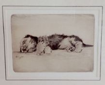 Cecil Charles Windsor Aldin (British 1870 - 1935) an etching of a sleeping terrier