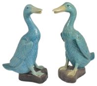 A pair of Chinese porcelain figures of geese, 20th centuryboth in a turquoise glaze realistically