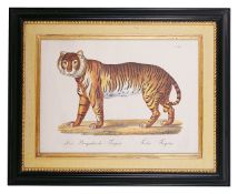 Brodtmann's Naturhistorische Bilder-Gallerieaus dem Thierreiche' Der Bengalische Tieger Felis