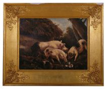 British School, 18th century 'Three pigs foraging in woodland', oil on canvas, indistinctly signed