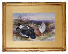 James Hardy Junior (British 1832-1889) 'Blackcock and grouse', watercolour, signed lower right