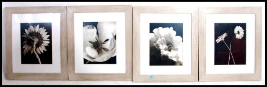 A group of four framed and glazed photographs of floral subjects to include sunflowers.