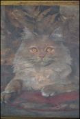 A framed early 20th century oil on board portrait painting of a cat, titled Freddie signed to corner