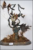 A late 19th century taxidermy display of  birds, naturally set on branches with an oval wooden