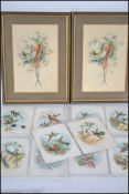 HUMMING BIRDS.Ten circa Victorian illustrated descriptive cards printed in Chromo-Lithography and