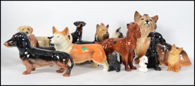 A large collection of ceramic dog figurines to include terriers, beagles, spaniels, hunter dogs etc.