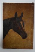 An Edwardian equestrian study of a horse - oil on canvas painting being signed and dated to the