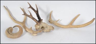 A vintage taxidermy deer skull together with a pai