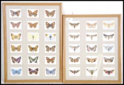 A pair of framed, glazed and mounted taxidermy stu