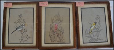 JJ Preston. A collection of 3 watercolour paintings of birds of paradise to include Carmine Bee