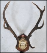 A good set of early 20th century mounted deer antlers bearing notation for 1921 to the skull and