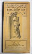 A Bailliere's popular atlas of the anatomy and physiology of the female human body, 3rd edition 1944