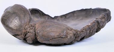 Taxidermy Interest. An early 20th century large el