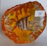 A retro 20th century taxidermy study of an Angel f