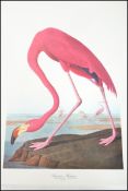 The Audubon Folio: Great bird paintings prints with text by George Dock Jr to include flamingo,
