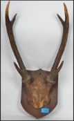 A set of Victorian taxidermy six point stag antlers mounted on a wooden armorial shield plaque.