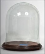 A large / tall 19th century glass Victorian dome s