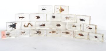 A collection of 20 vintage scientific entomology / taxidermy insect preserved samples contained in