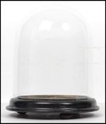 A 19th century Victorian taxidermy / clock / display glass dome complete with ebonised stepped