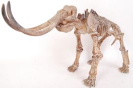 A plaster & Resin scientific Osteology scaled down study of Woolly Mammoth