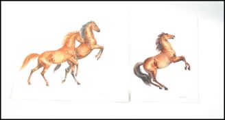 FRANCES FRY (20th Century British) - watercolour paintings / studies of horses: two rearing and a