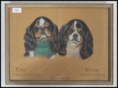 A framed and glazed mid 20th century pastel portrait painting picture of a pair of Cavalier King