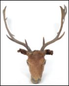 A vintage 20th century taxidermy deer stags head with eight prong antlers and glass eyes.