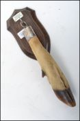 A vintage 20th century taxidermy example of a deer foot, the top mounted with a silver plated collar