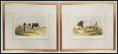 A pair of 19th century framed lithograph French prints depicting bulls with scenic backgrounds