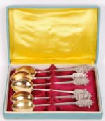 SS SPOONS