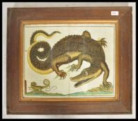 An unusual 20th century wooden framed anatomical depiction of a crocodile appearing to a plate