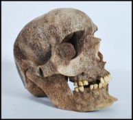 A stunning believed Whale vertebrae scrimshaw life size carving formed as a Human Skull possibly