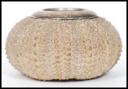 An early 20th century Edwardian sea urchin match strike. The fossilised remains of the creature used