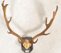 A pair of early 20th century mounted vintage Stag / deer nine point antlers mounted on an oak