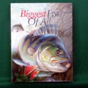 The Perch Fishers - 