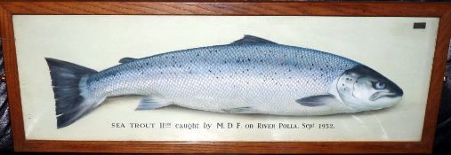 ORIGINAL OIL PAINTING: PD Malloch of Perth oil on board depicting a sea trout, mounted under glass